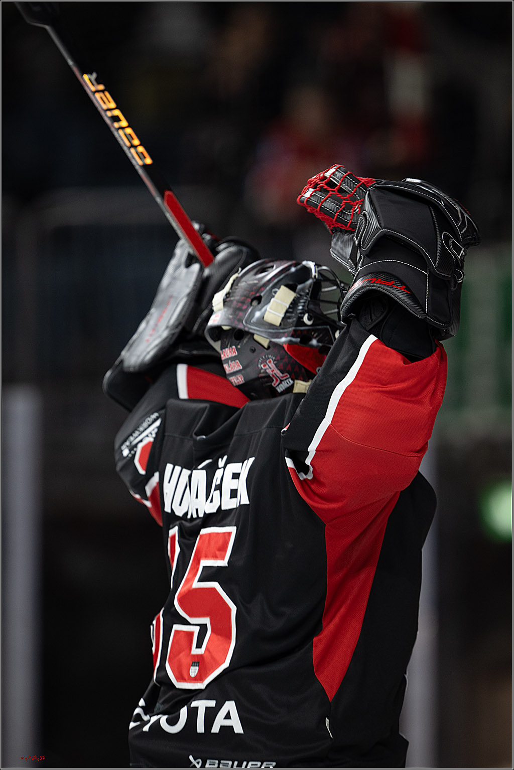 PENNY DEL 1; Kölner Haie - Düsseldorfer EG ; Köln, 16.02.2025